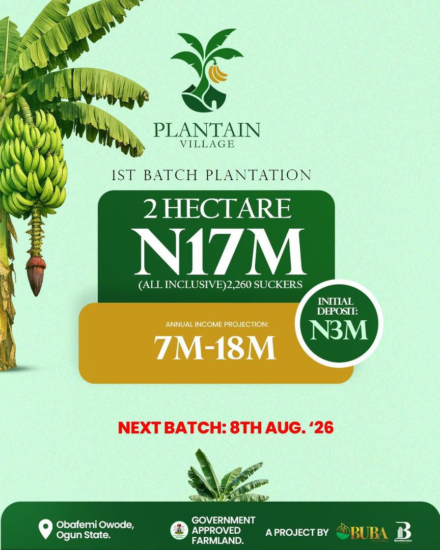 Plantain Investment