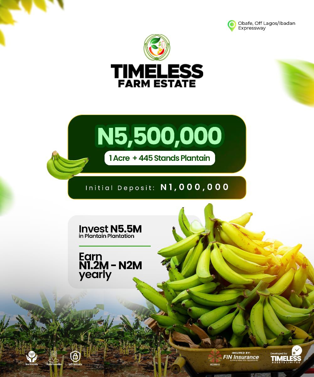 Plantain Investment