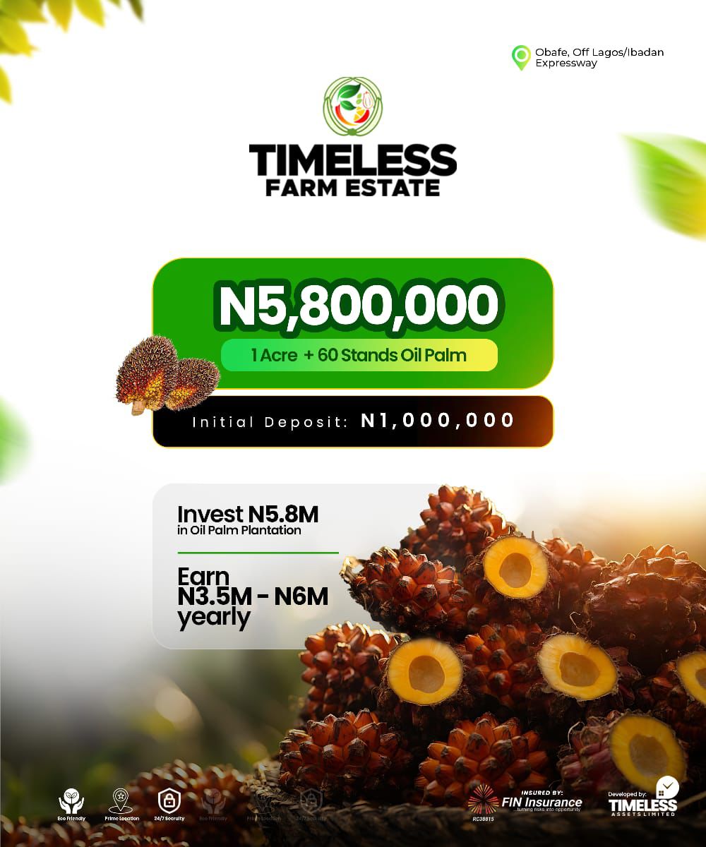 Palm Oil Investment