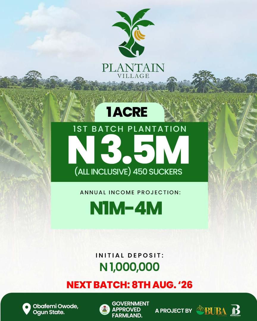 Plantain Investment