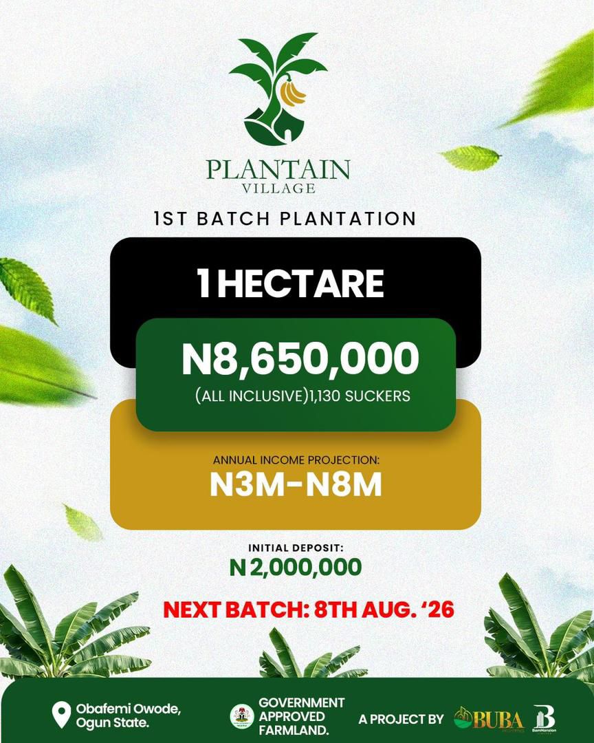 Plantain Investment