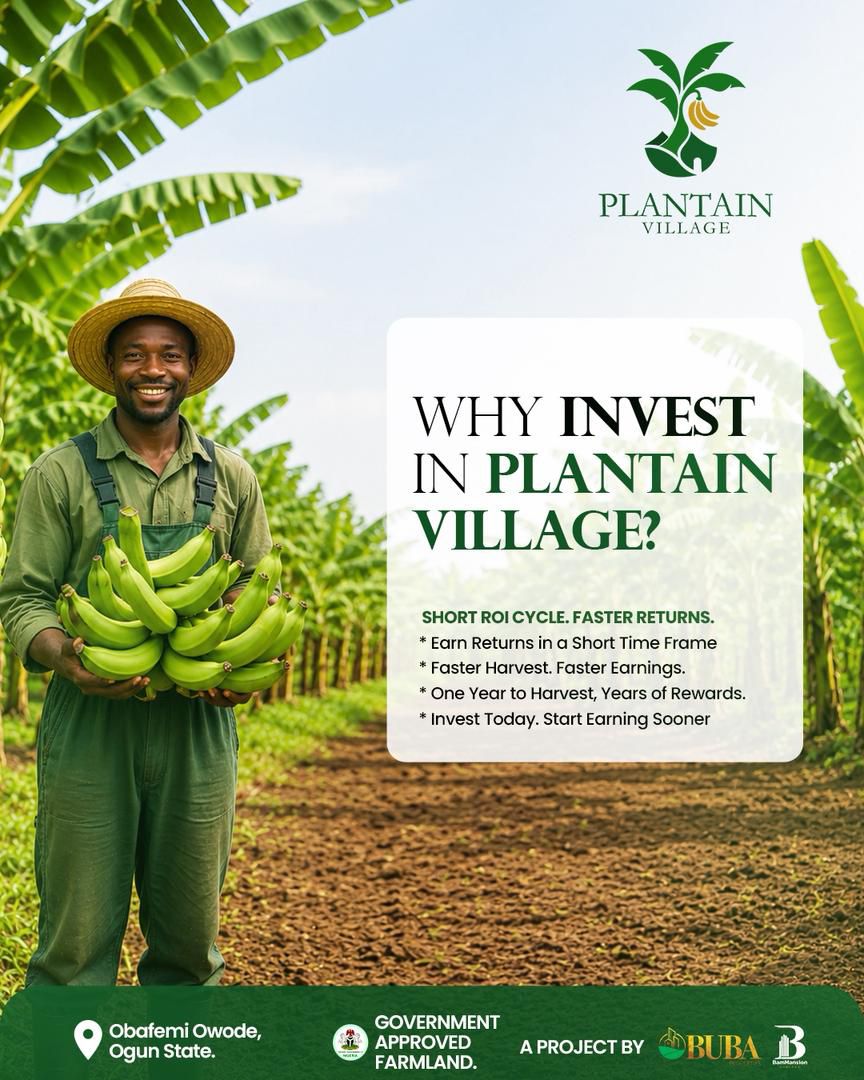 Plantain Investment