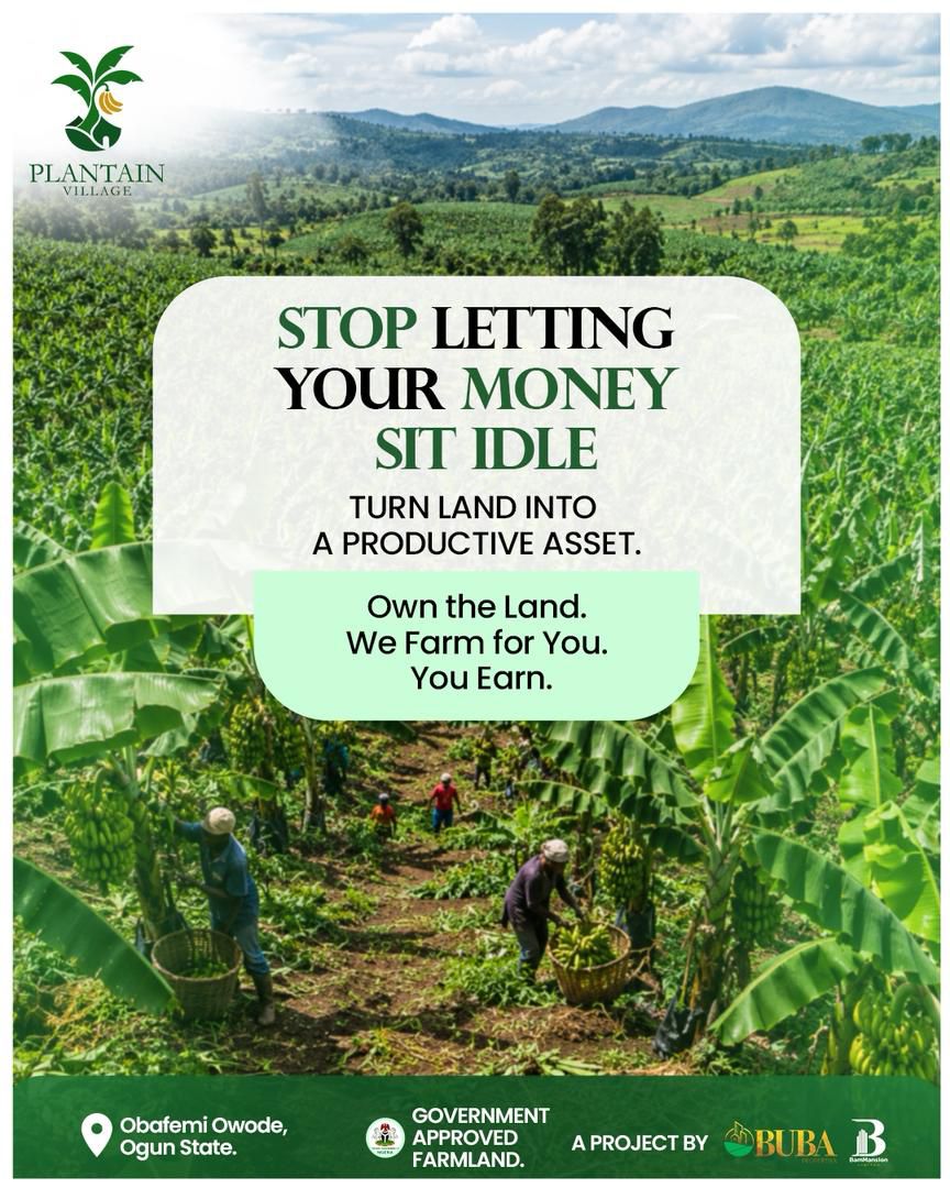 Plantain Investment